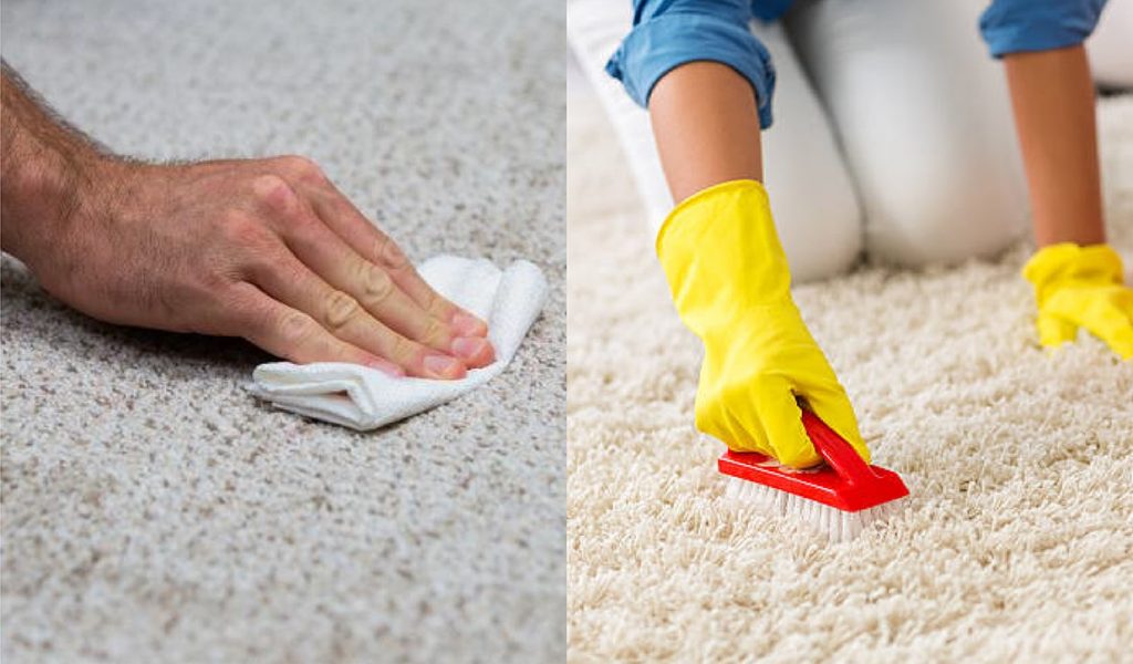 Blotting versus scrubbing in carpet cleaning