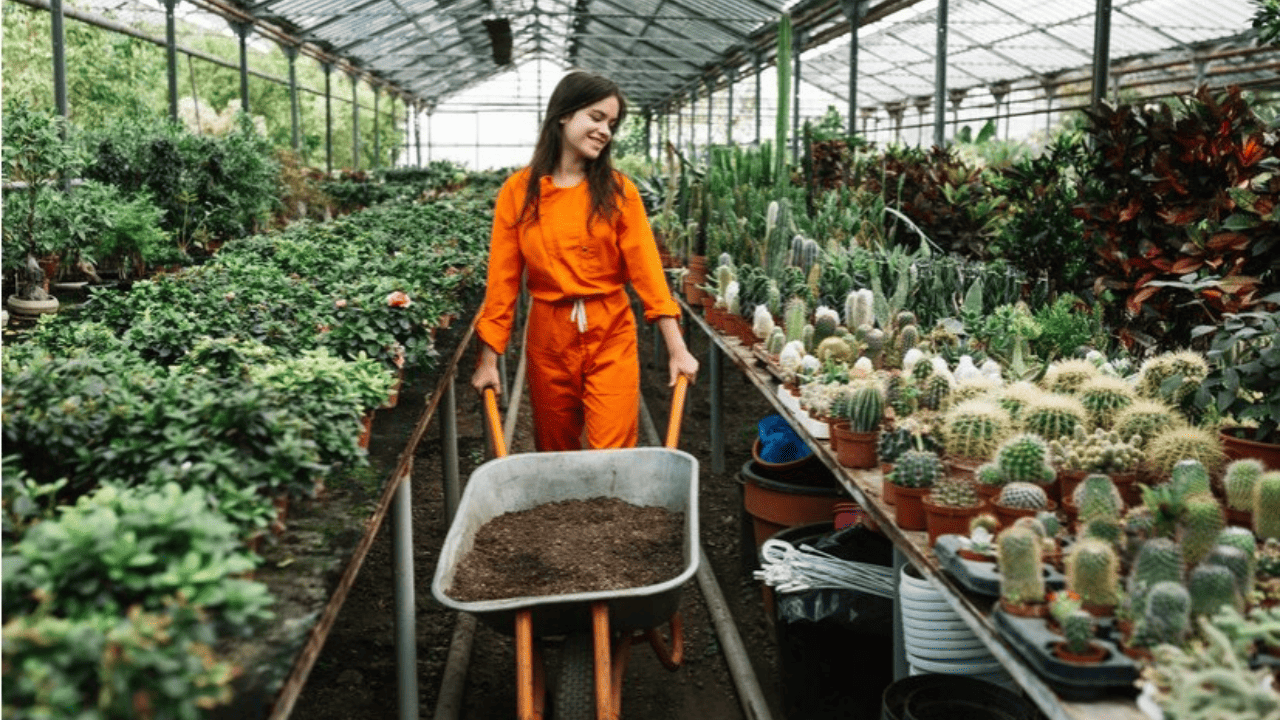 Exclusive plant nursery is one of the best business ideas for women